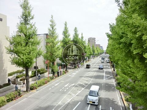 大通り