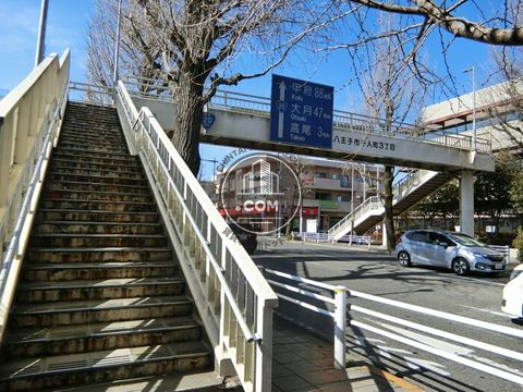 大通り
