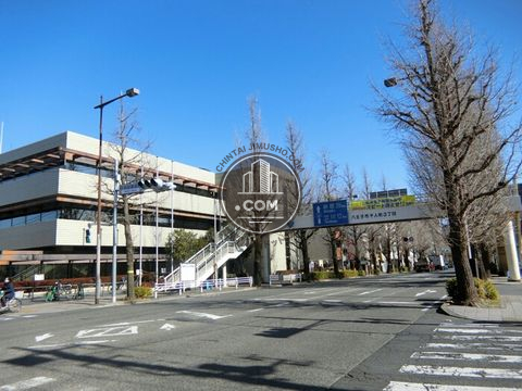 大通り