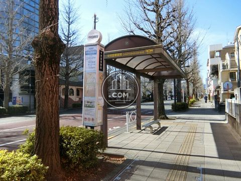 大通り