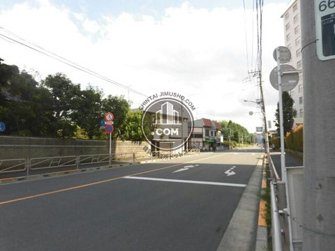 大通り