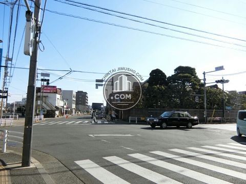 大通り