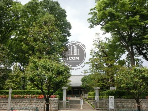 大通り