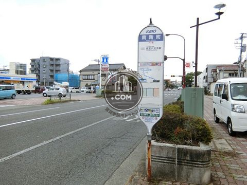 大通り