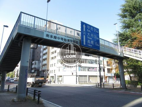 大通り