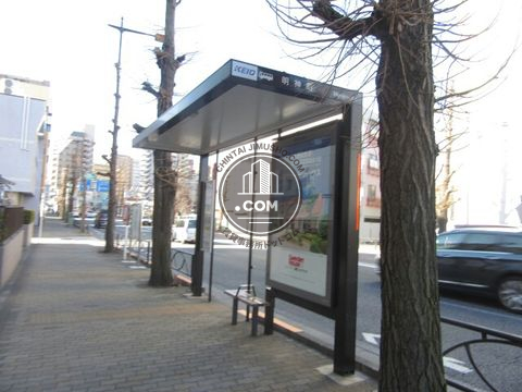 大通り