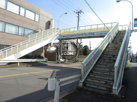 大通り