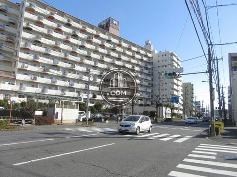 大通り
