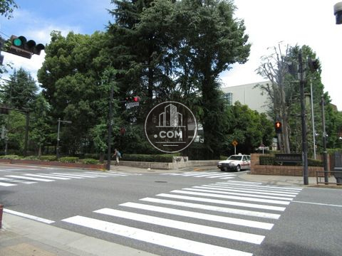 大通り
