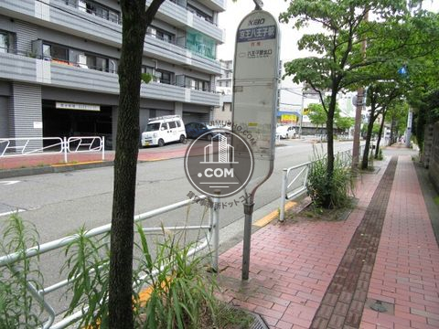 大通り