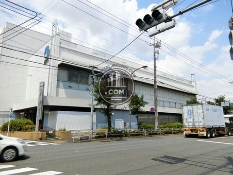 大通り