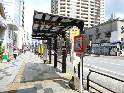 大通り