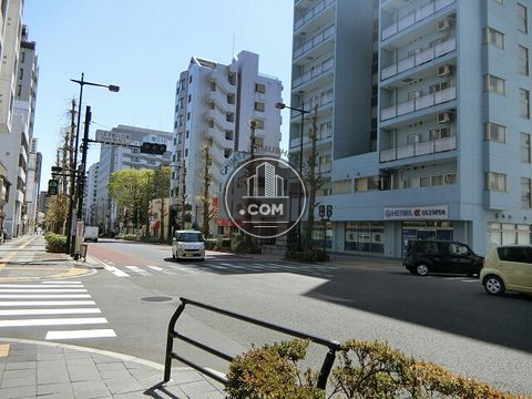 大通り