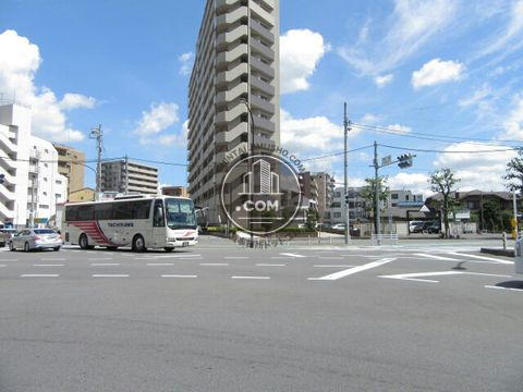大通り