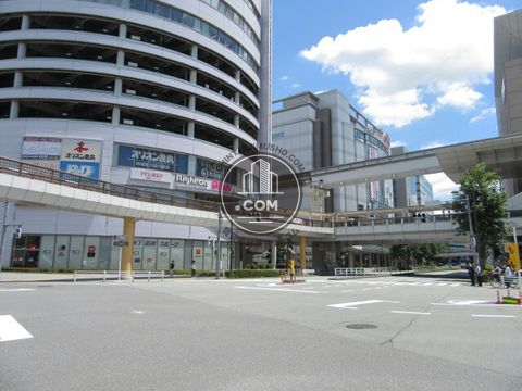 大通り