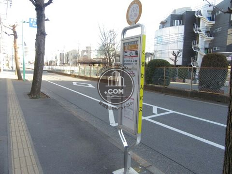 大通り