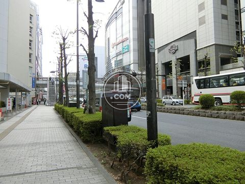 大通り