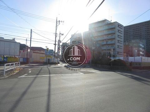 大通り