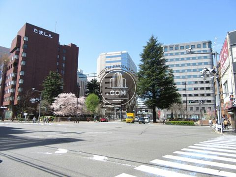 大通り