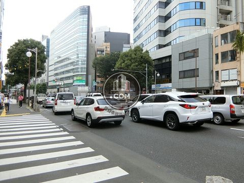 大通り