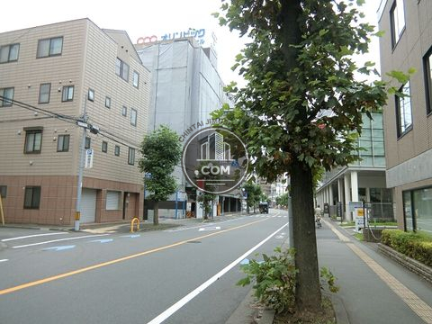 大通り
