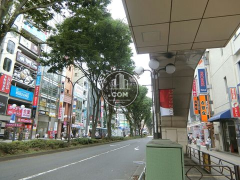 大通り