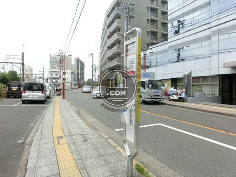大通り