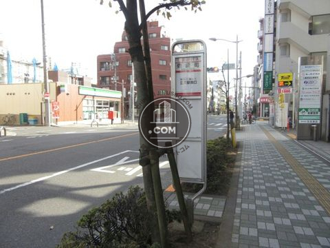 大通り