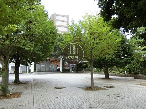 裏路地