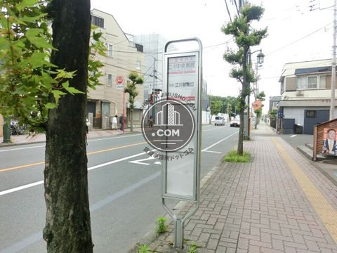 大通り