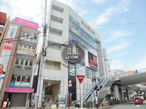 大通り