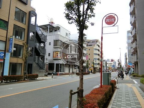 大通り
