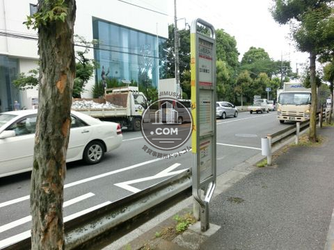 大通り