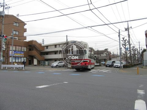 大通り