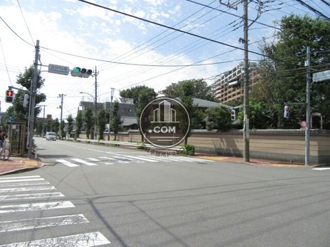 大通り