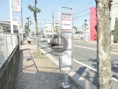 大通り