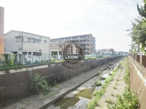 大通り
