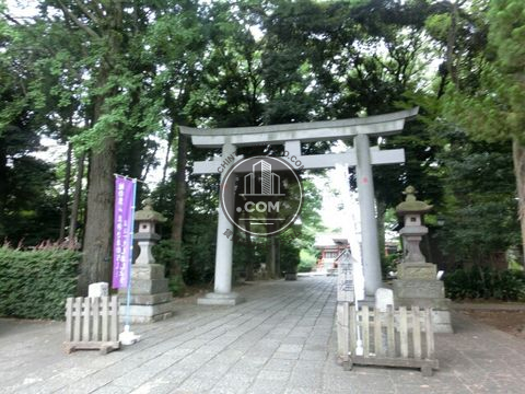 裏路地