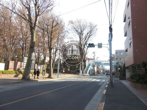 大通り