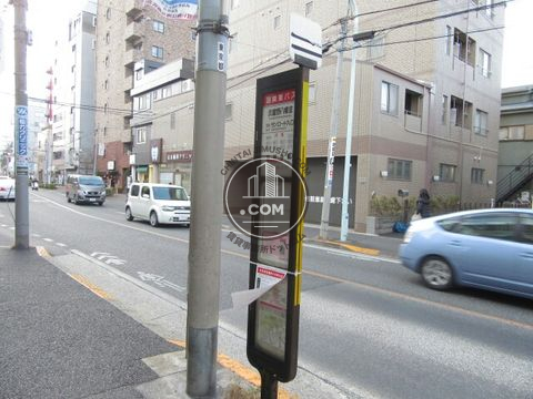 大通り