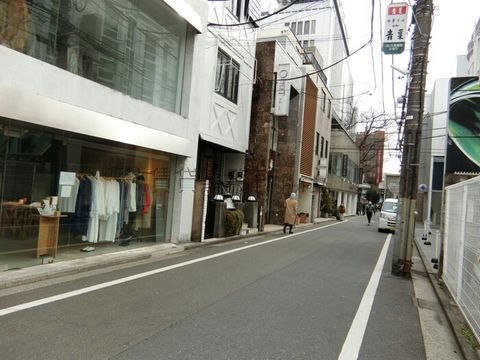 昭和通り