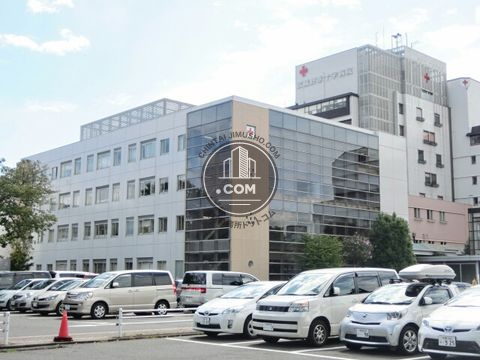 大通り