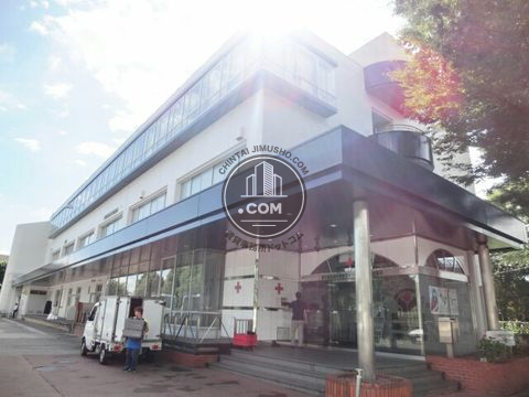 大通り