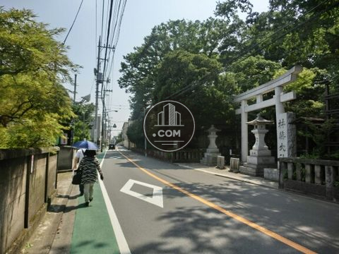 大通り