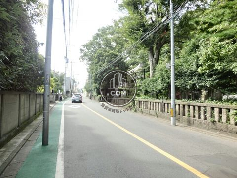 大通り