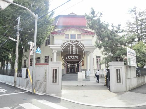 大通り