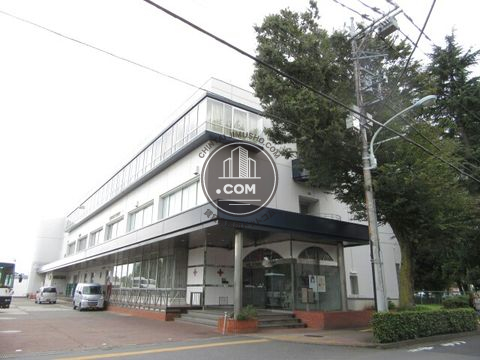 大通り