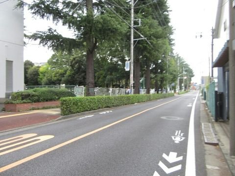 武蔵境通り