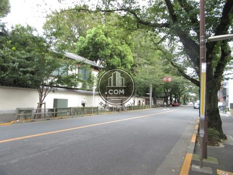 大通り