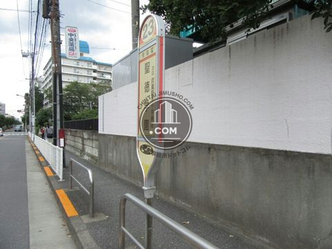 大通り